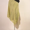 cashmere pashmina